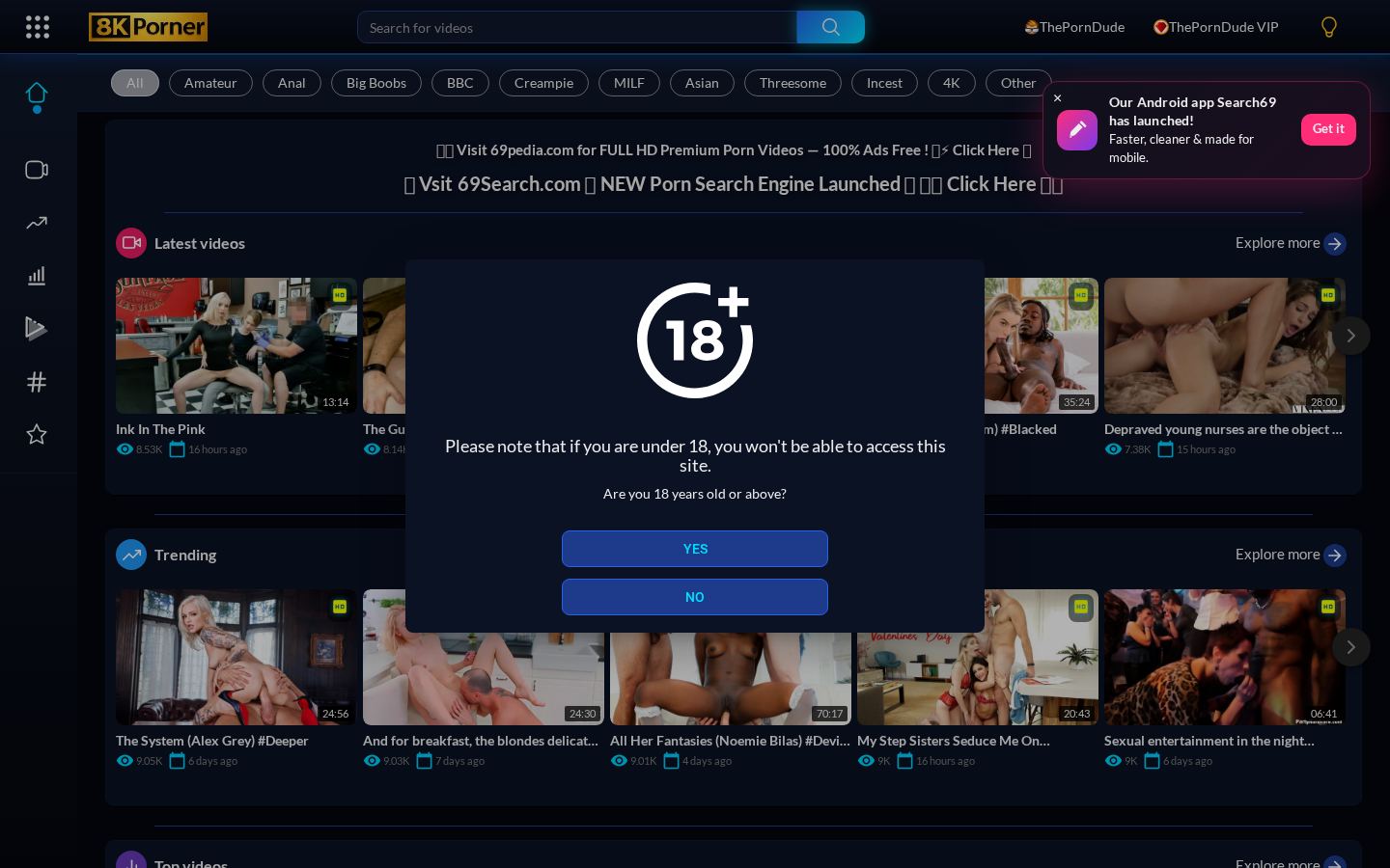 8K Porner — PC homepage preview