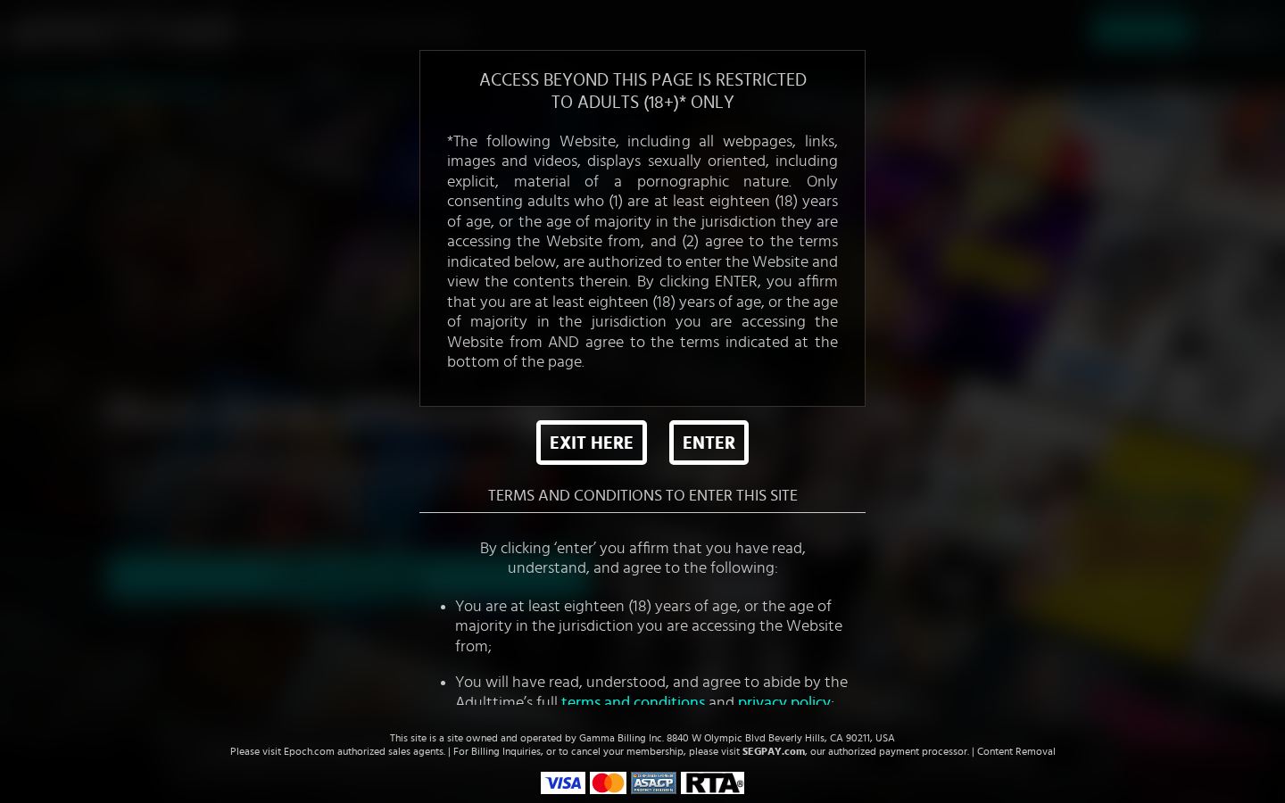 AdultTime VR — PC homepage preview