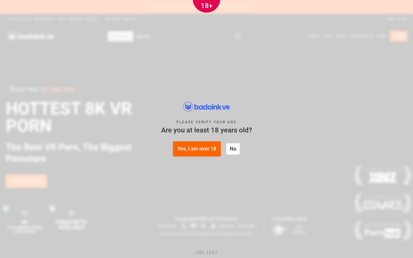 BadoinkVR — PC homepage preview