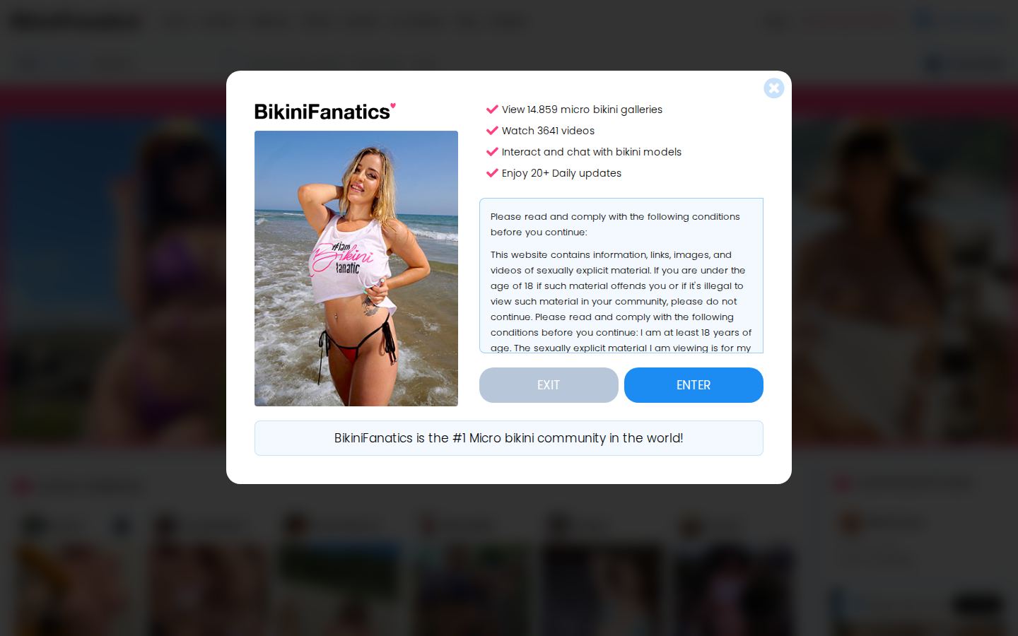 Bikini Fanatics — PC homepage preview