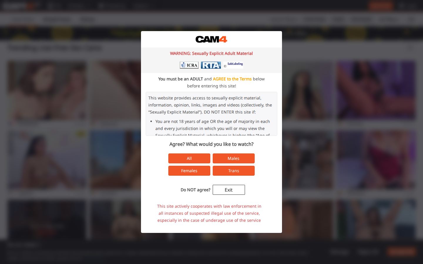 Cam4 — PC homepage preview