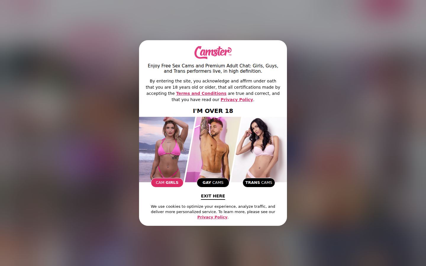 Camster — PC homepage preview