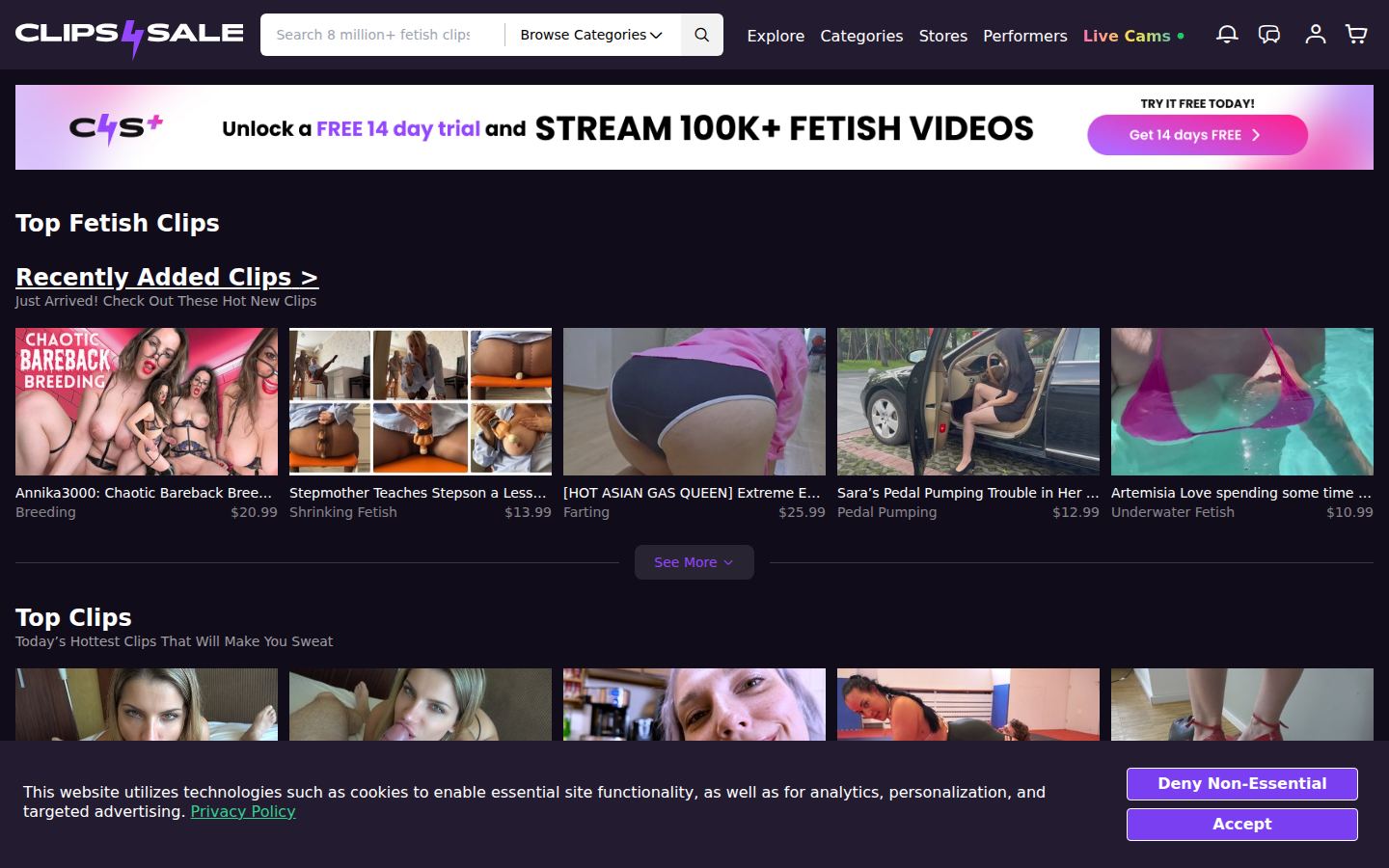 Clips4Sale — PC homepage preview