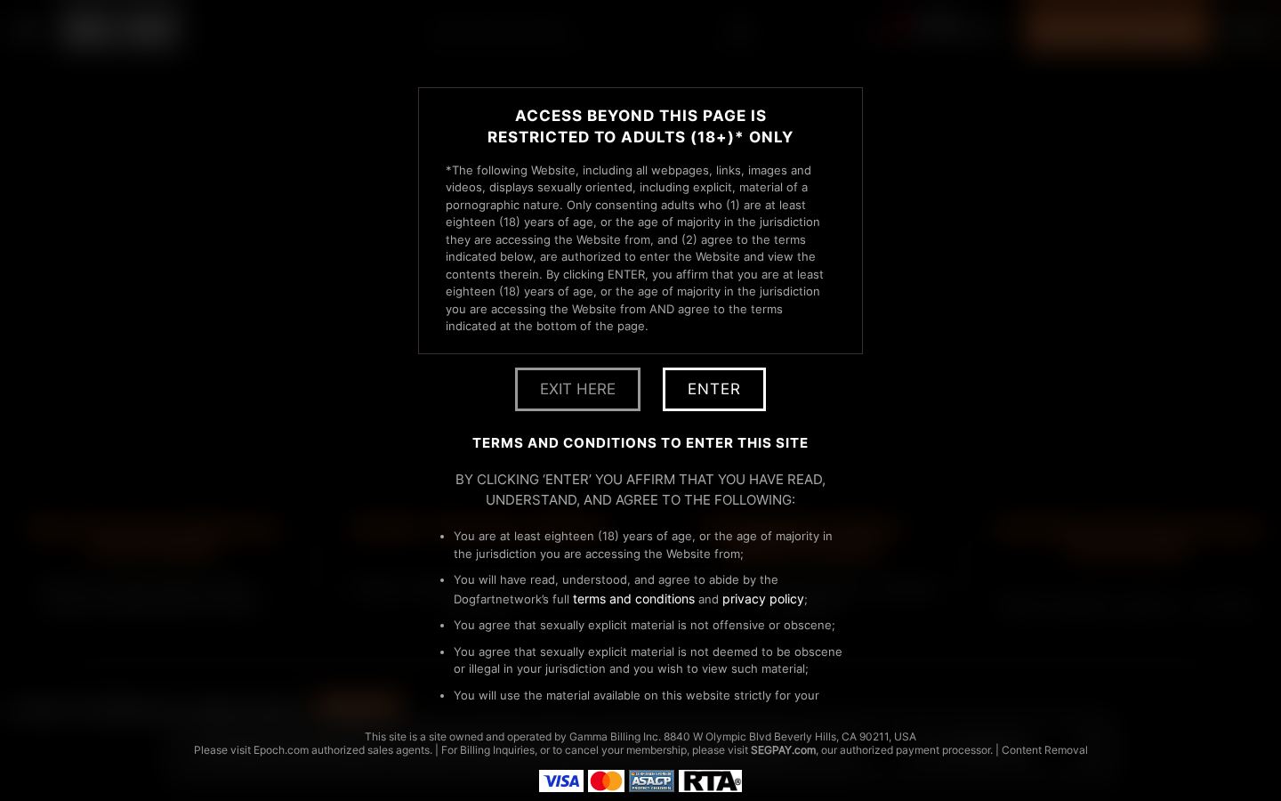 Dogfart Network — PC homepage preview