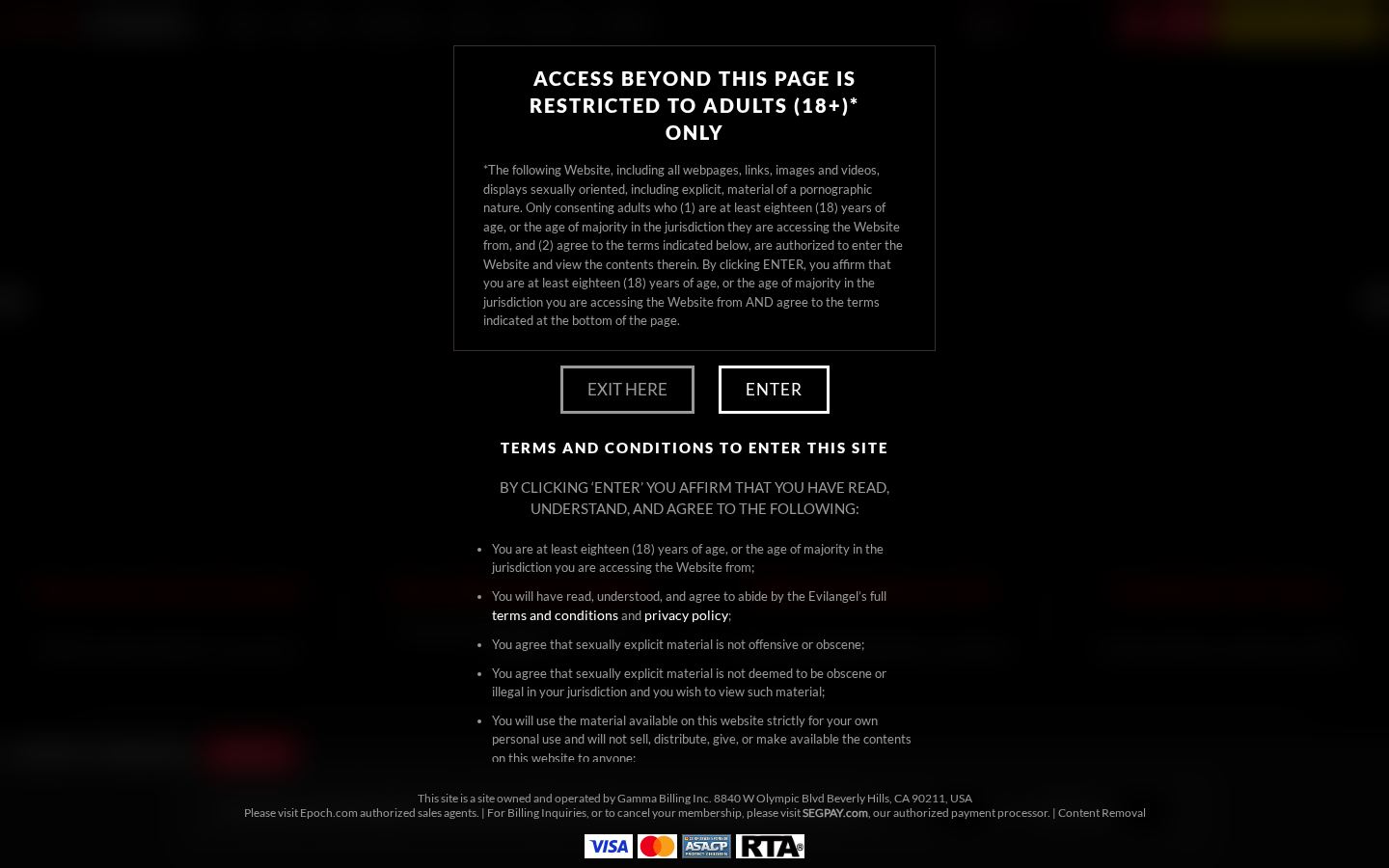 Evil Angel — PC homepage preview