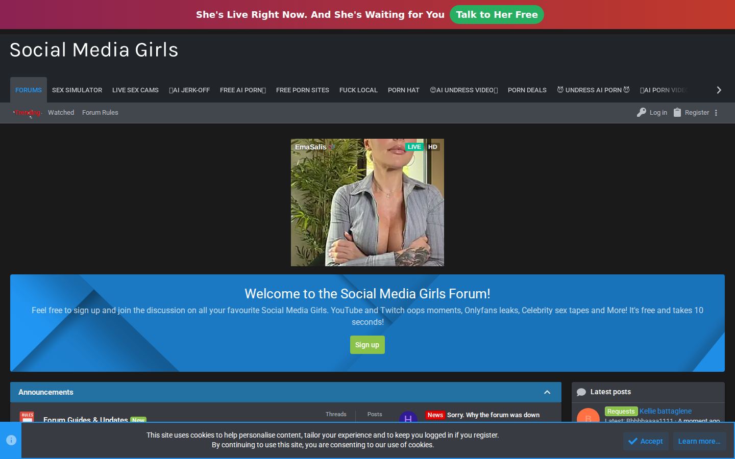 SocialMediaGirls Forum — PC homepage preview