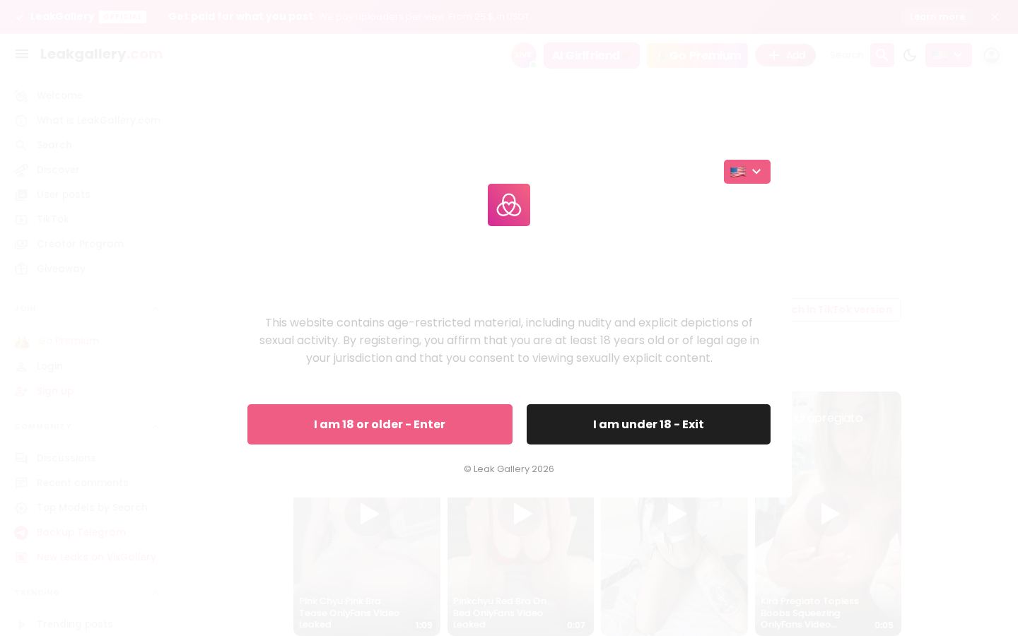 LeakGallery — PC homepage preview
