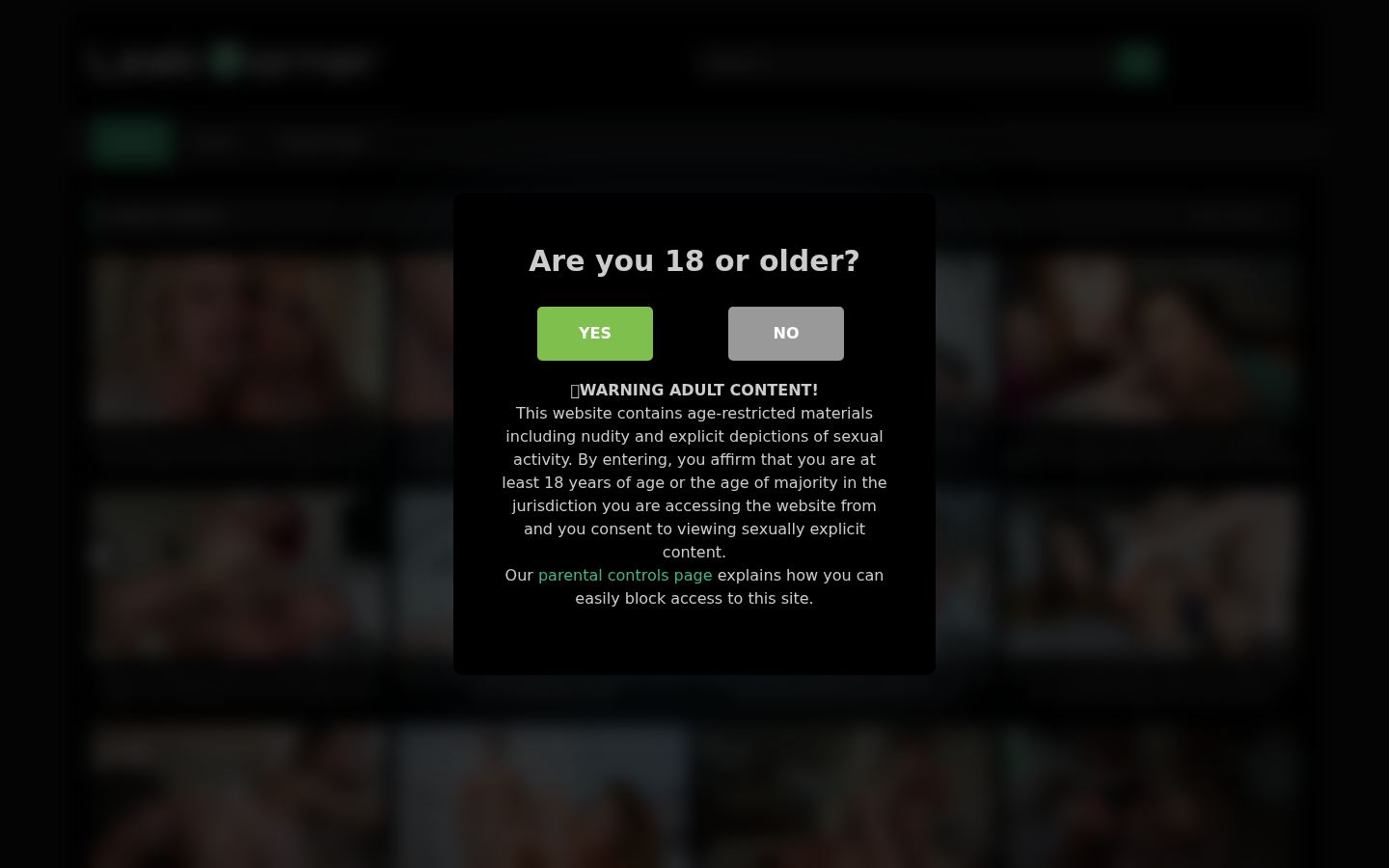 LeakPorner — PC homepage preview