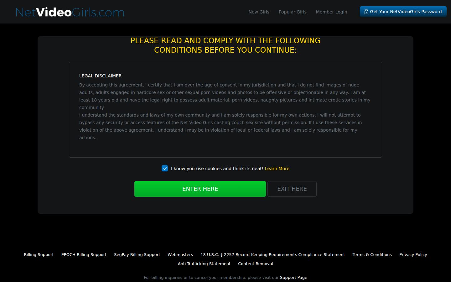 NetVideoGirls — PC homepage preview
