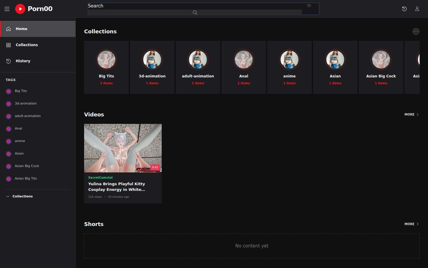 Porn00 — PC homepage preview