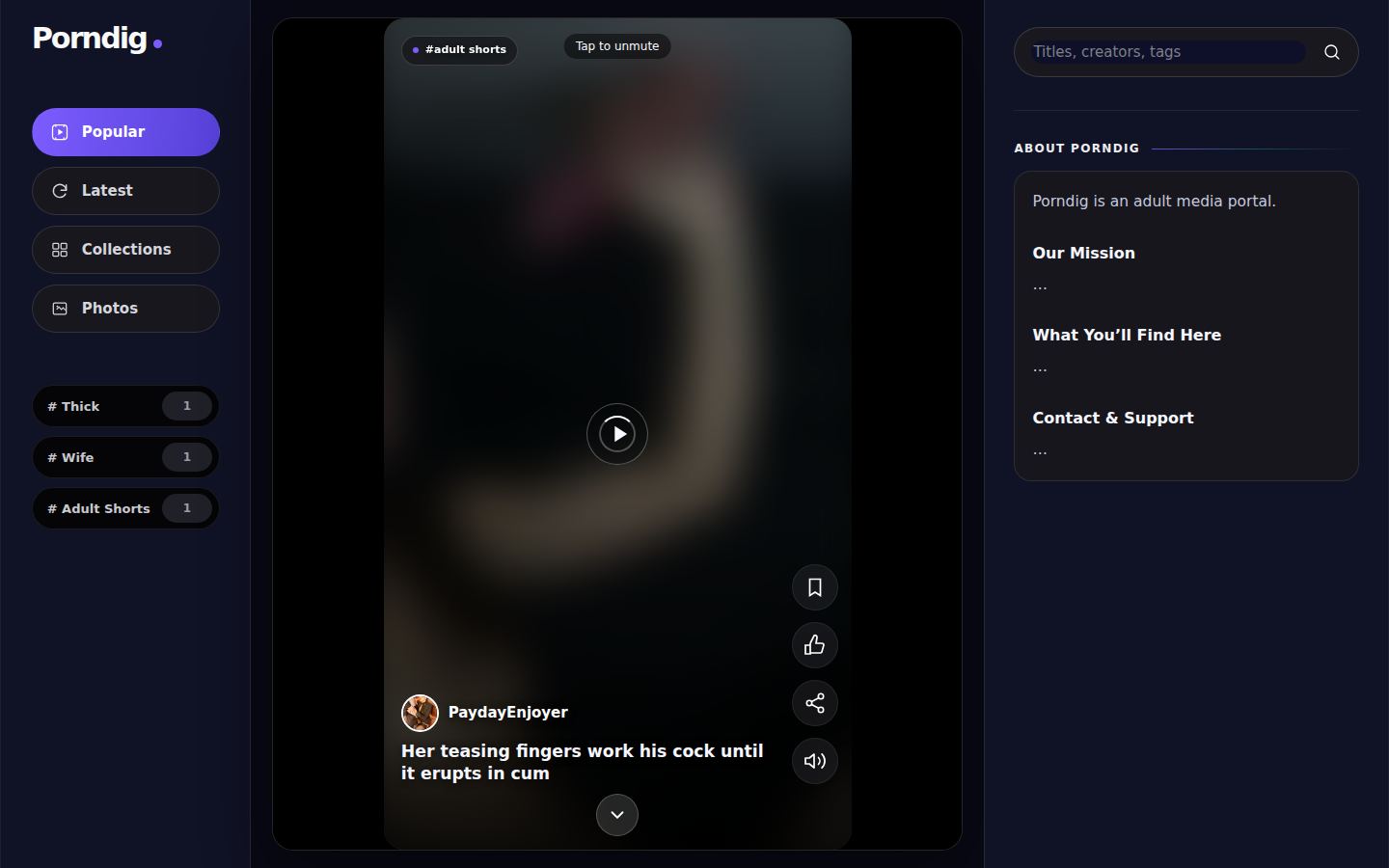 Porndig — PC homepage preview