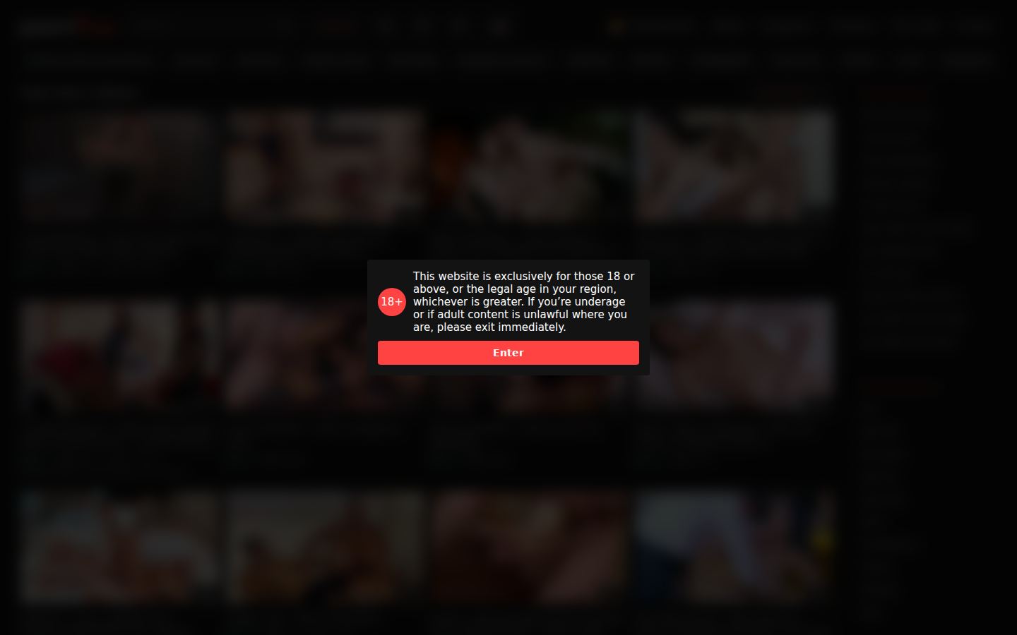 PornTop — PC homepage preview