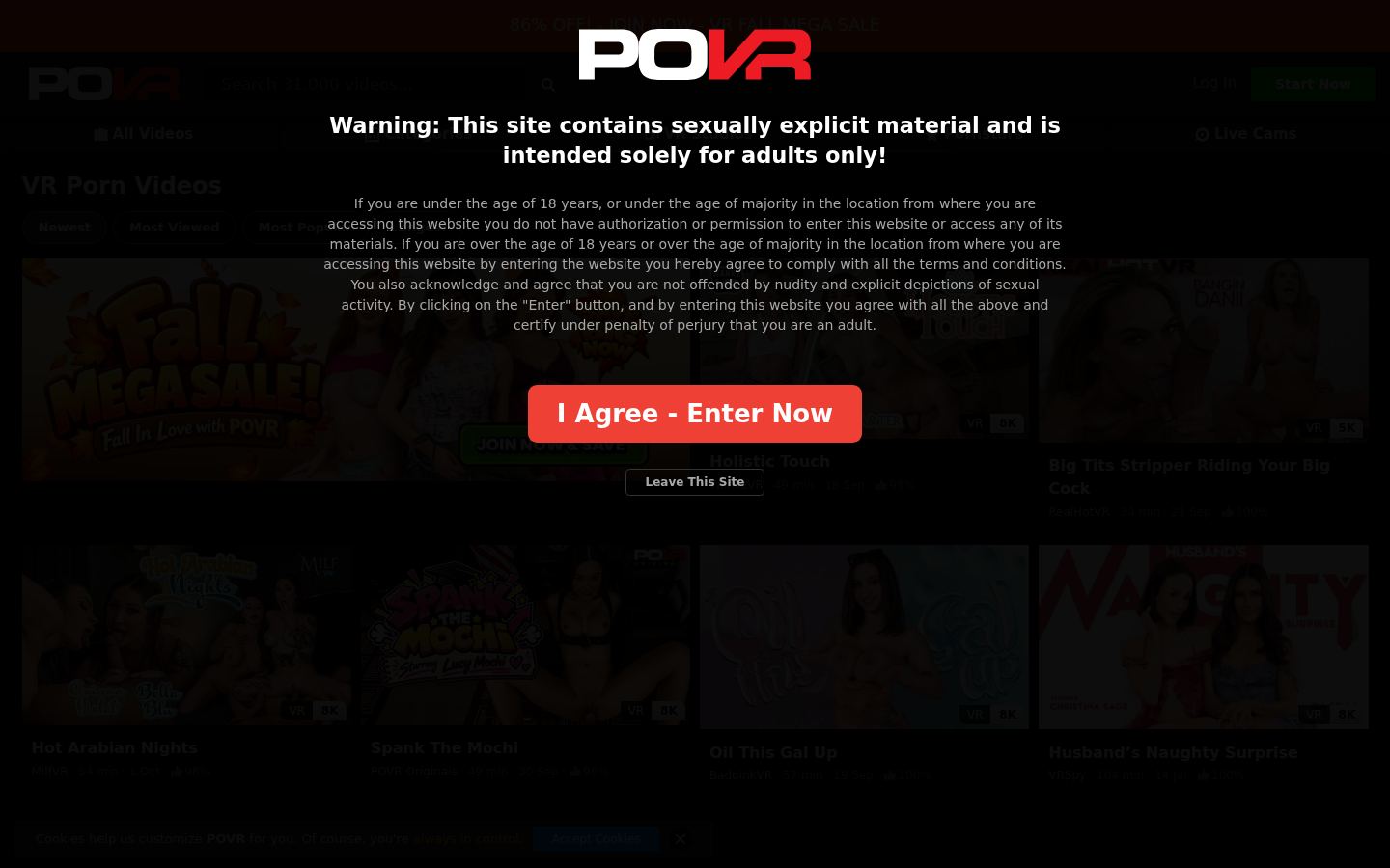 POVR — PC homepage preview