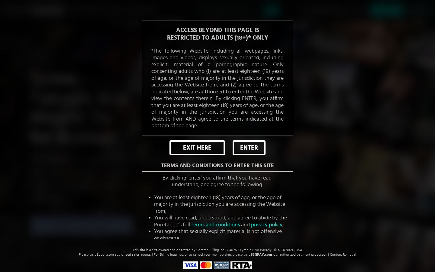 PureTaboo — PC homepage preview