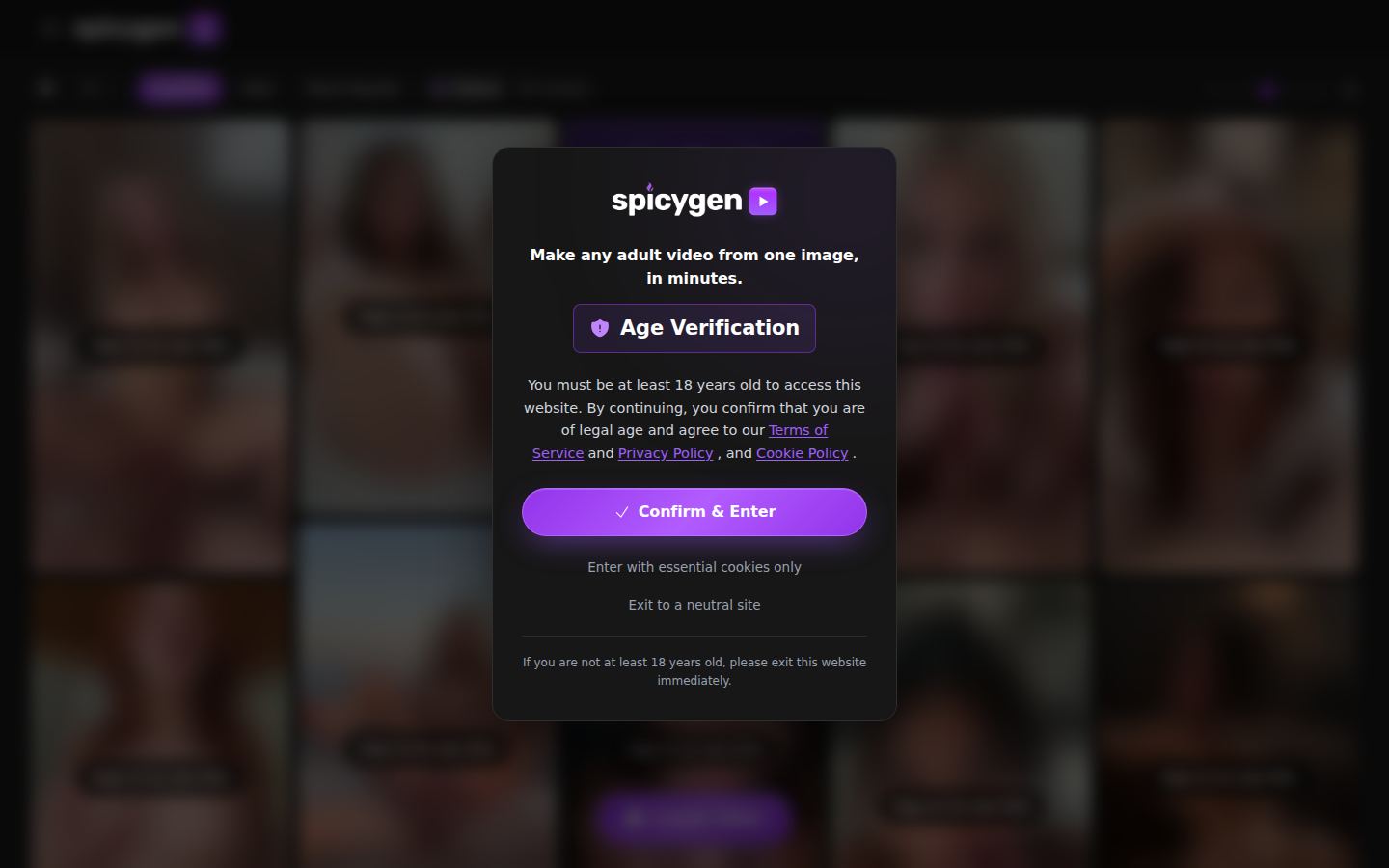 SpicyGen — PC homepage preview