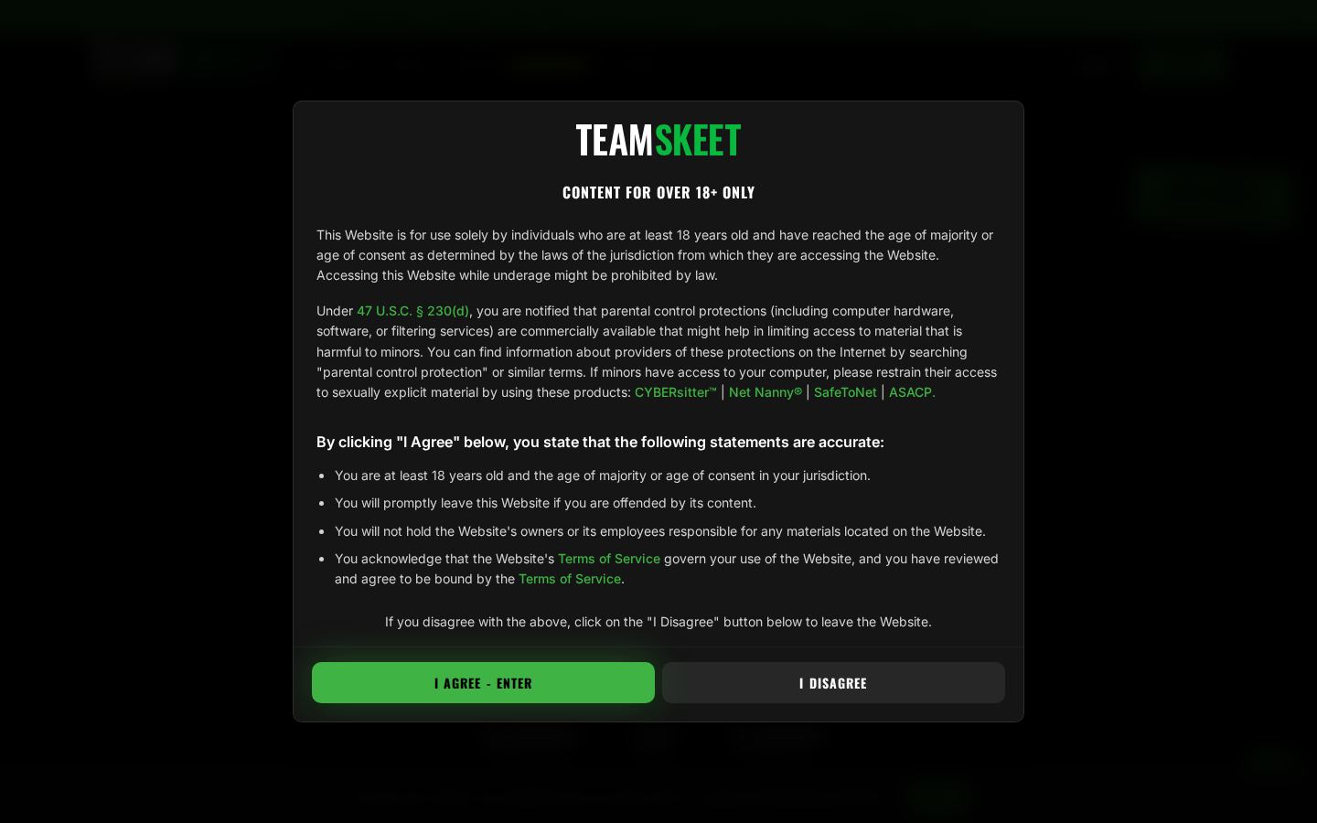 TeamSkeet — PC homepage preview