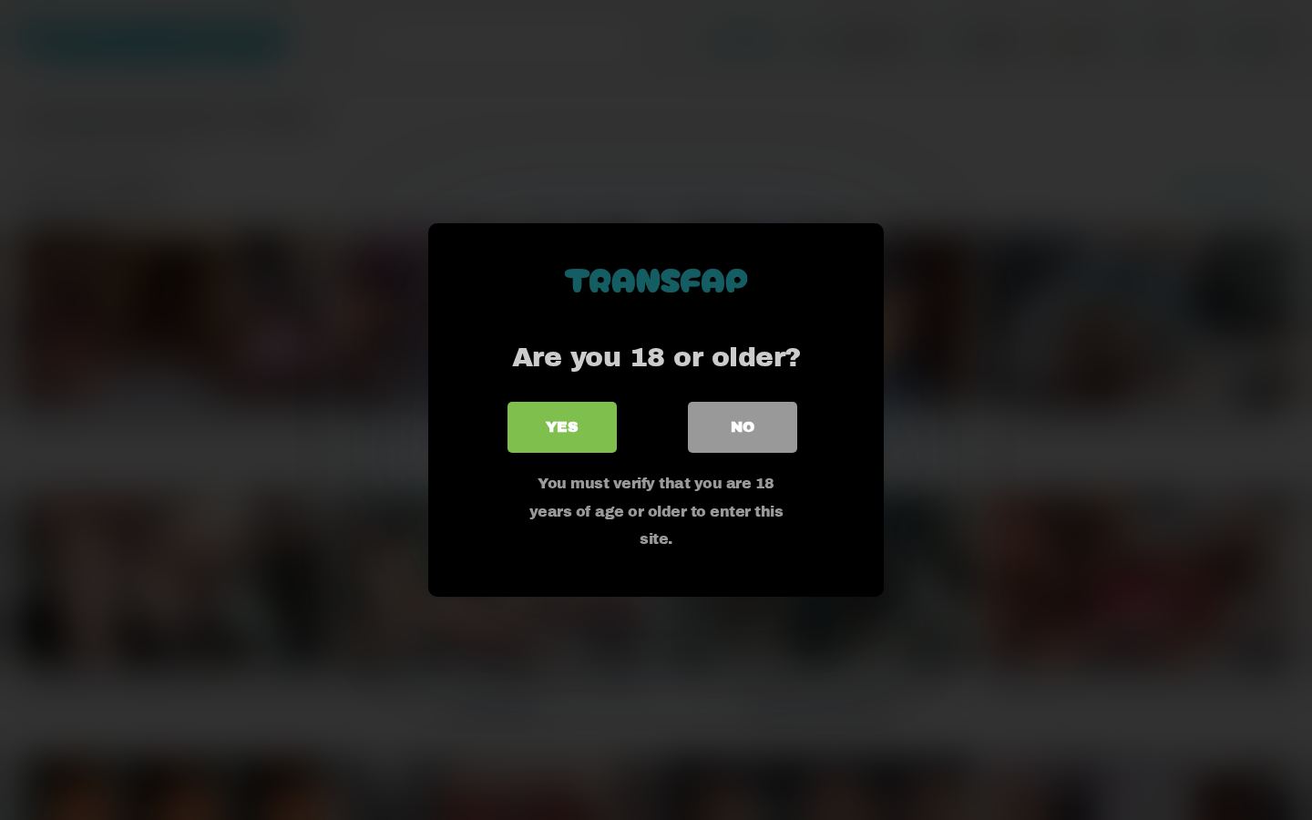 TransFap — PC homepage preview