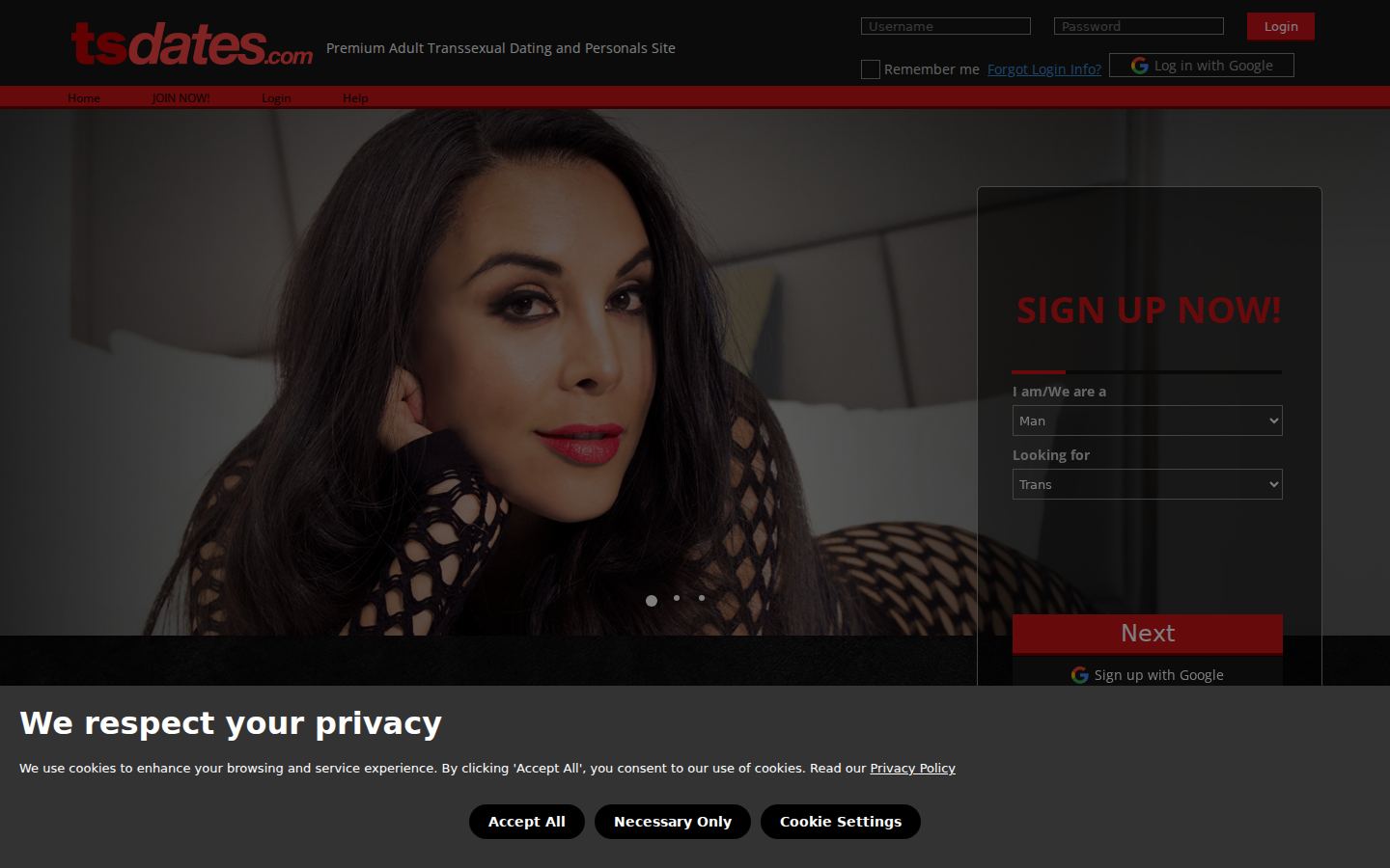 TSDates — PC homepage preview