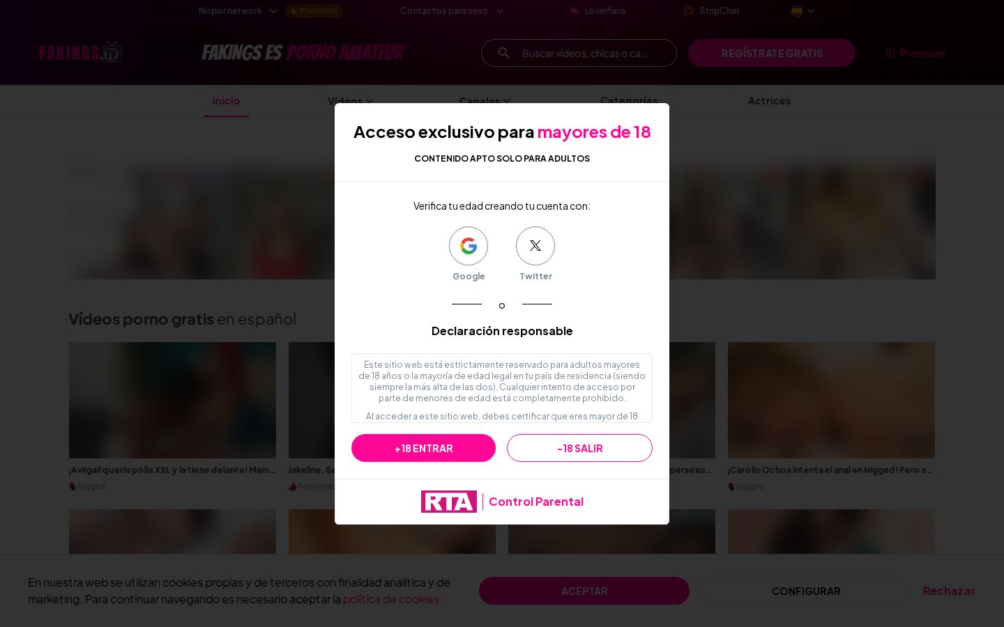 FAkings TV — PC homepage preview