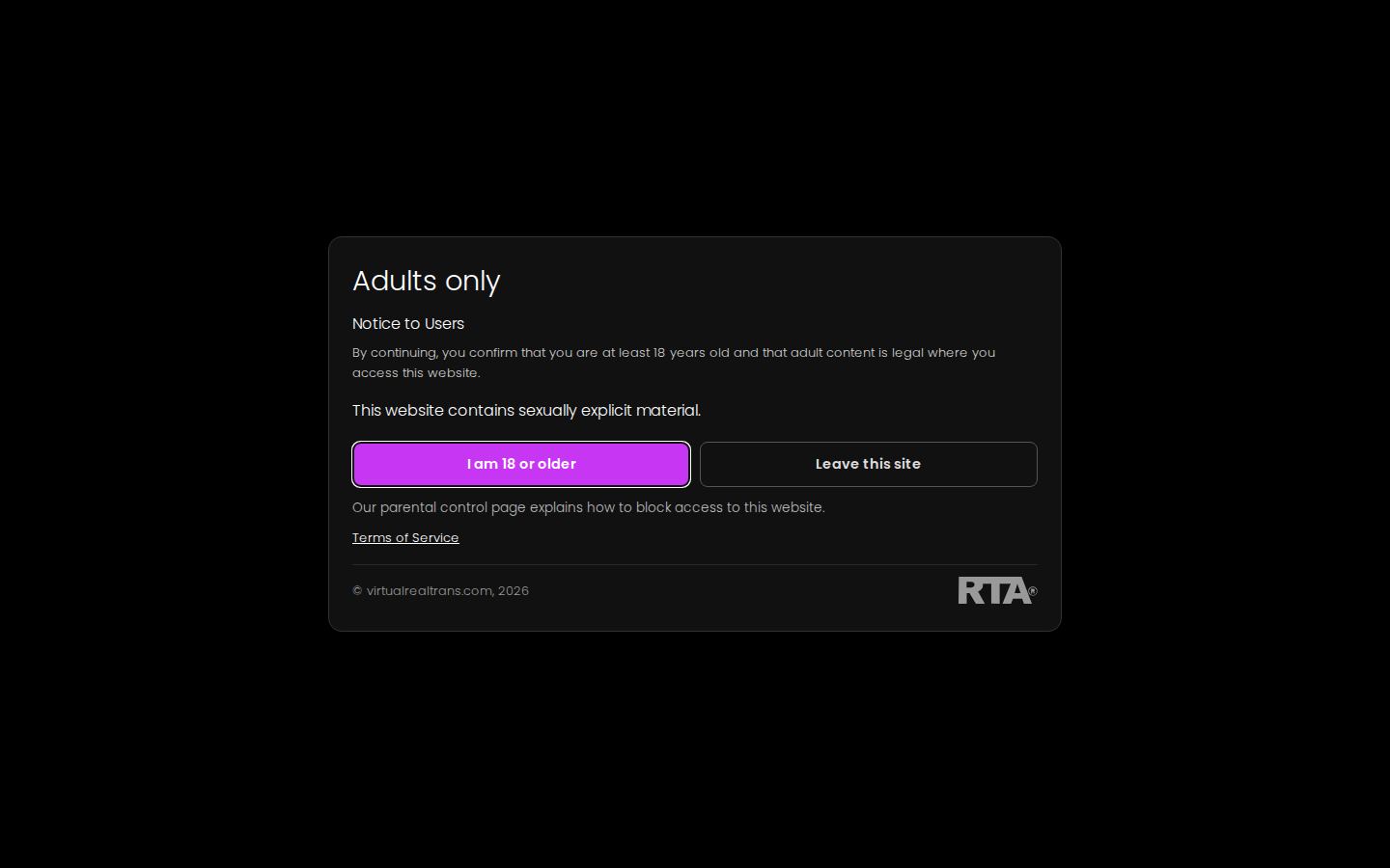 VirtualRealTrans — PC homepage preview
