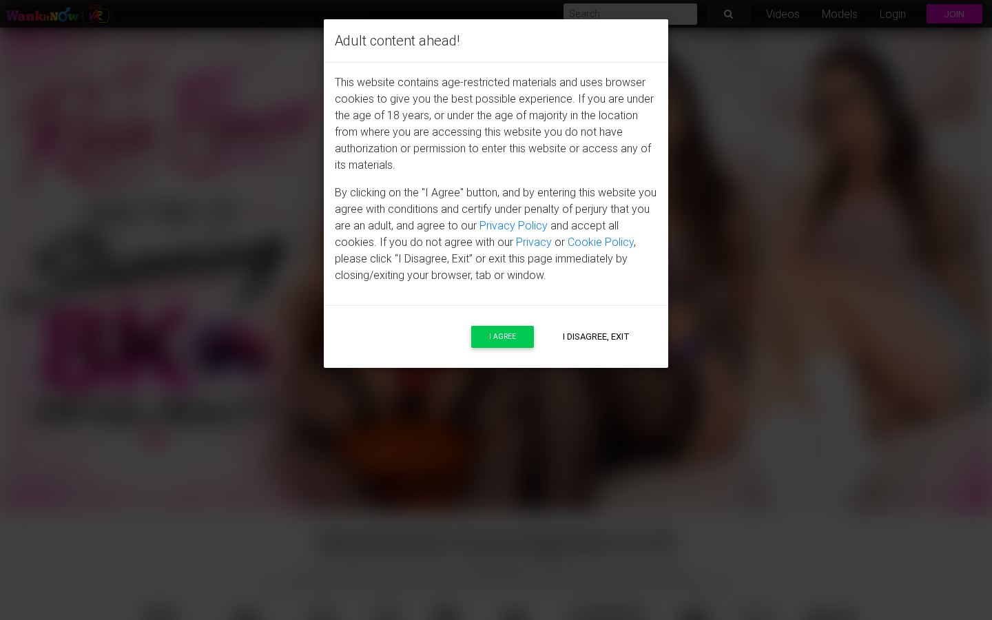 WankitNowVR — PC homepage preview